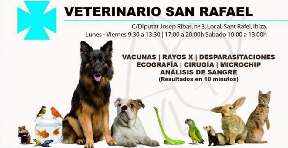Servicios veterinario San Rafael