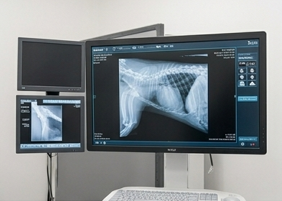 Radiología digital veterinaria Ibiza